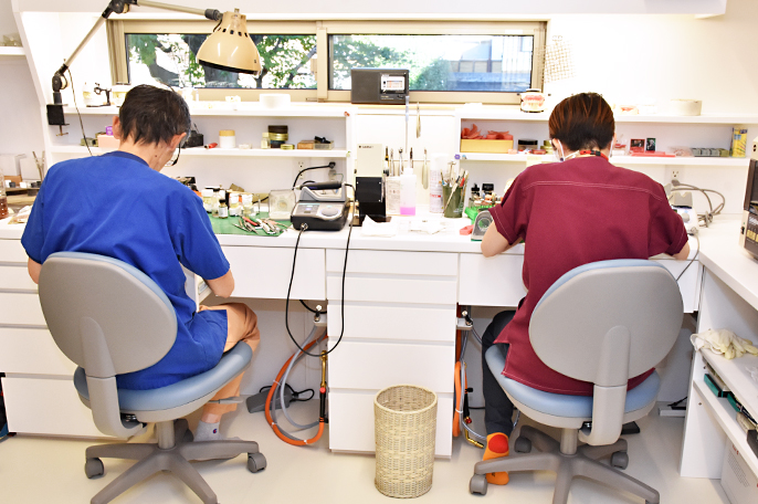 歯の模型